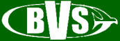 BVS