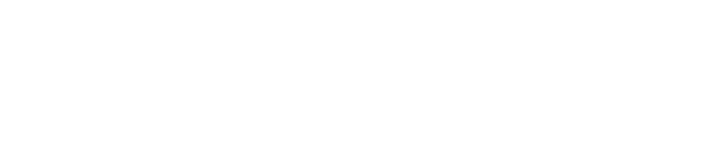 WEIGHTRON BILANCIAI